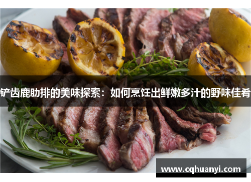 铲齿鹿肋排的美味探索：如何烹饪出鲜嫩多汁的野味佳肴