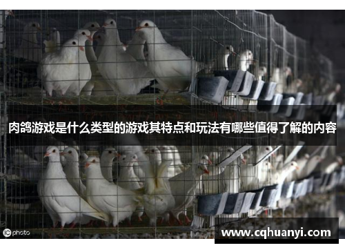 肉鸽游戏是什么类型的游戏其特点和玩法有哪些值得了解的内容