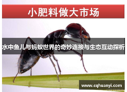 水中鱼儿与蚂蚁世界的奇妙连接与生态互动探析