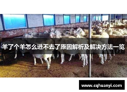 羊了个羊怎么进不去了原因解析及解决方法一览