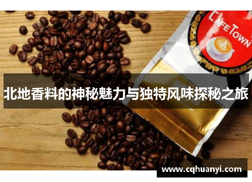 北地香料的神秘魅力与独特风味探秘之旅